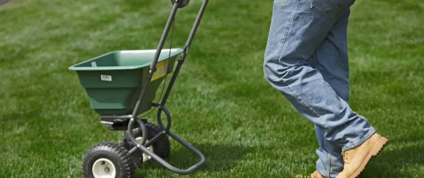R lugg lawn seeding and after care